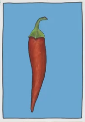 Chilli Blauw, 2005